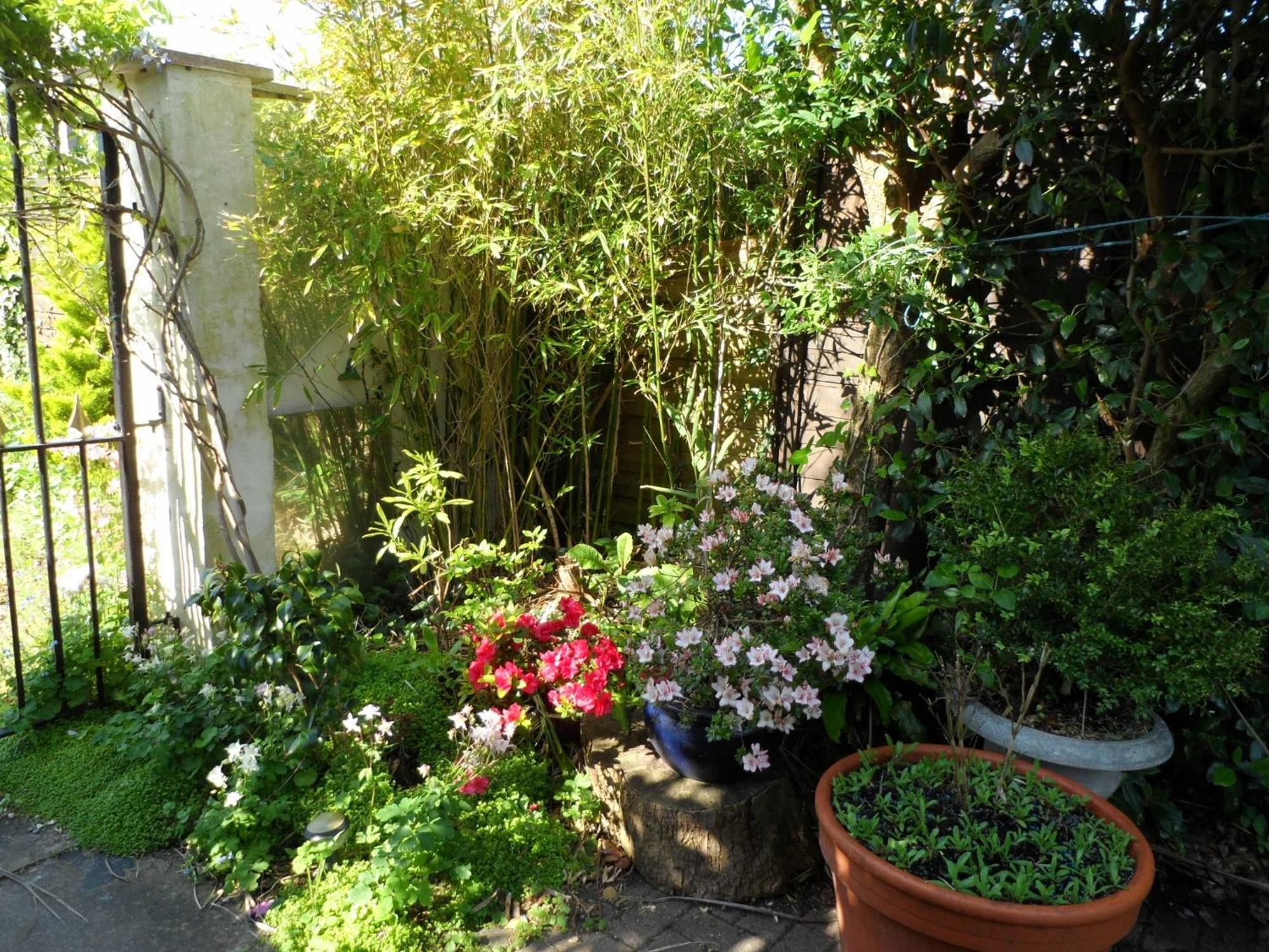 וויימות' Galway Guest House מראה חיצוני תמונה