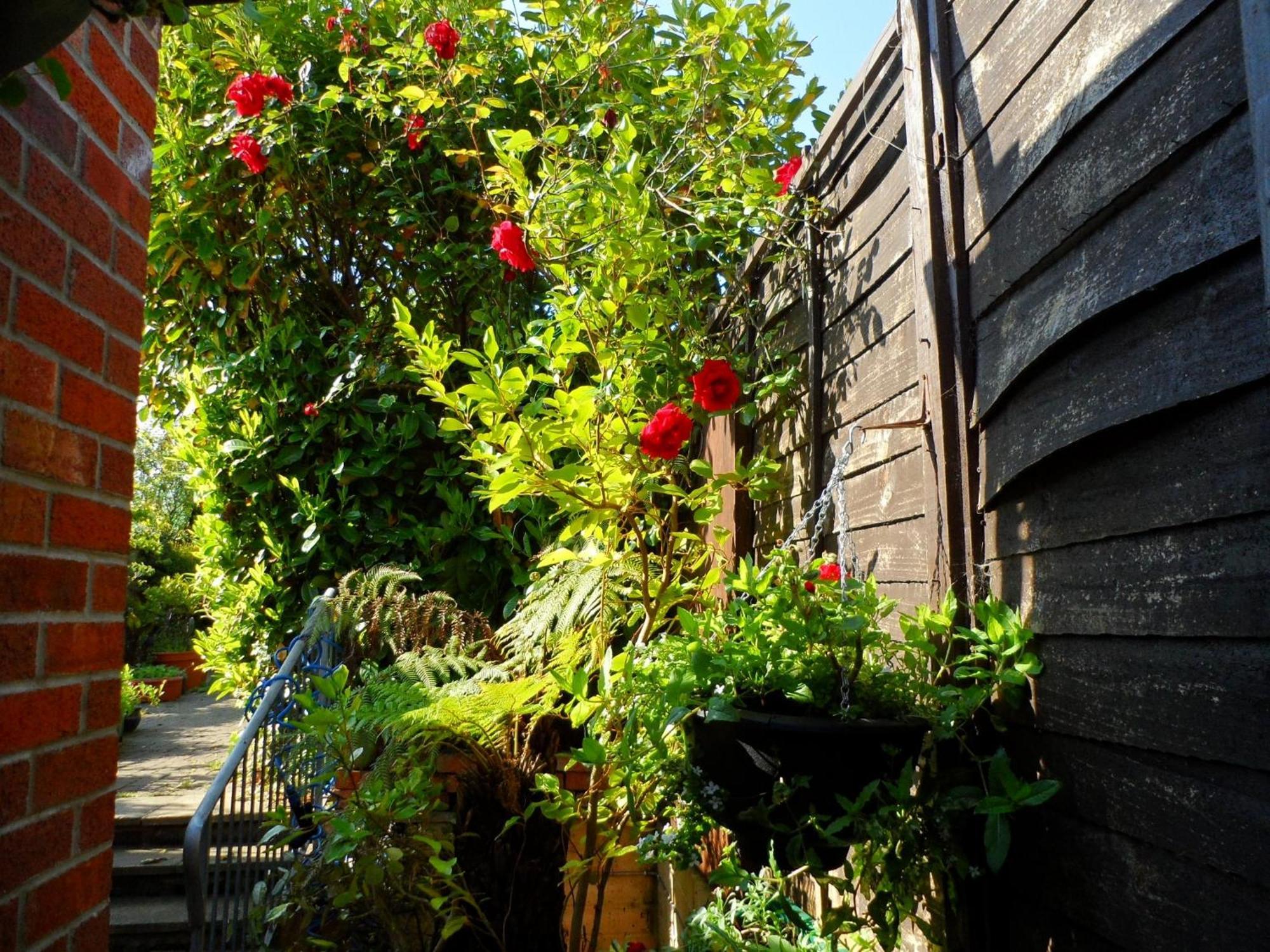 וויימות' Galway Guest House מראה חיצוני תמונה